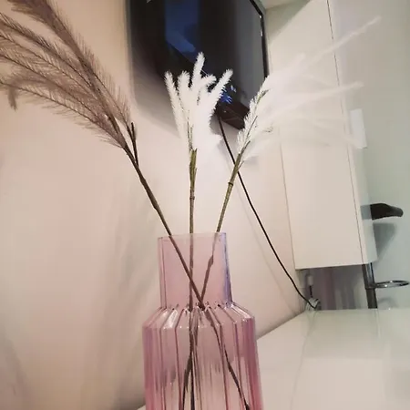 Seabreeze * סיינט פול ביי